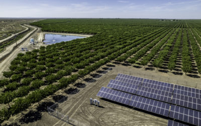 Agrivoltaïsme : des panneaux photovoltaïques au service de la terre