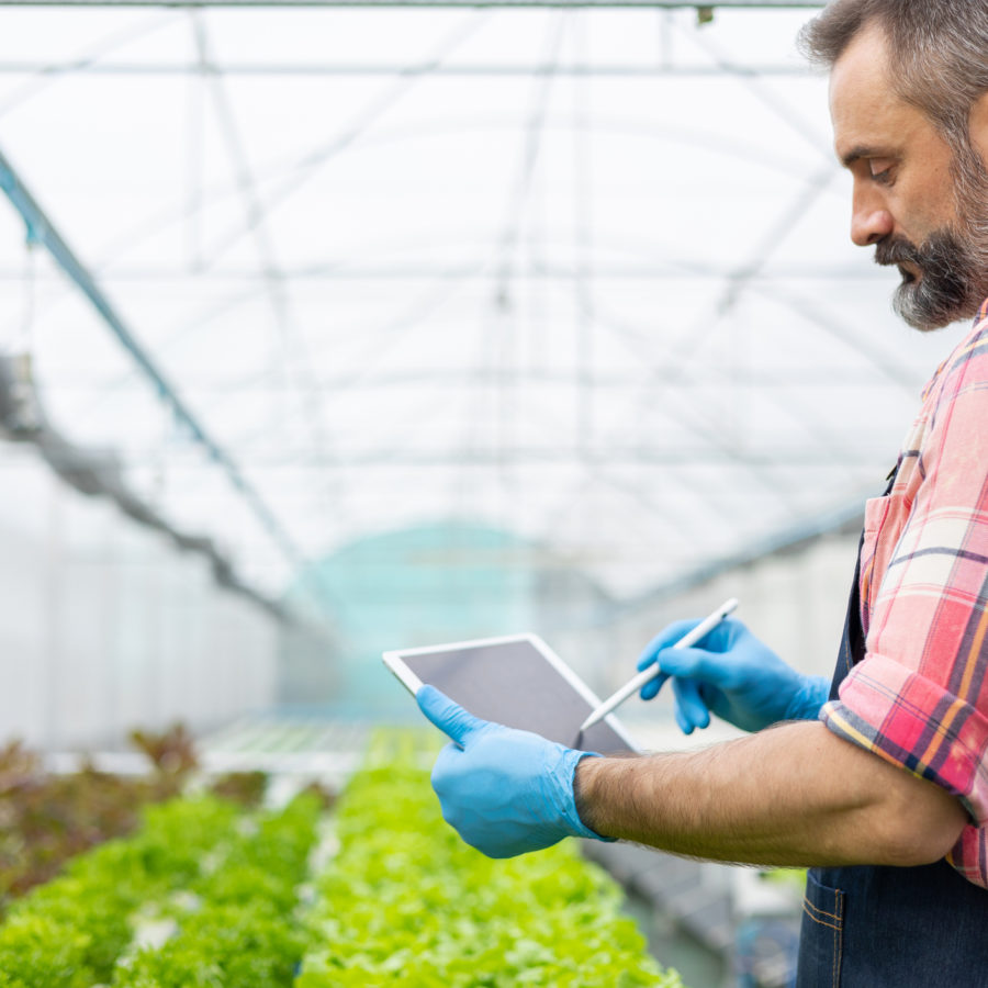 Gardener using digital tablet for information about new plants